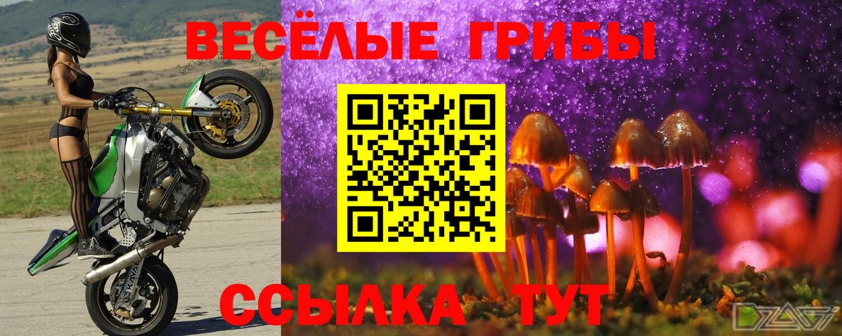 Псилоцибиновые грибы Psilocybe Лангепас