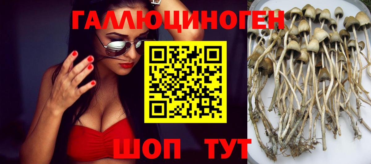 Псилоцибиновые грибы прущие грибы  Вход с VPN  Лангепас  Псилоцибиновые грибы Psilocybine cubensis 